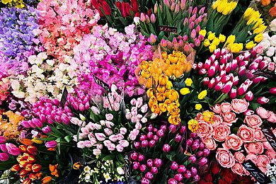 《Kerbal Space Program 2》将于明年2月24日在获准上市区域发布抢先体验版