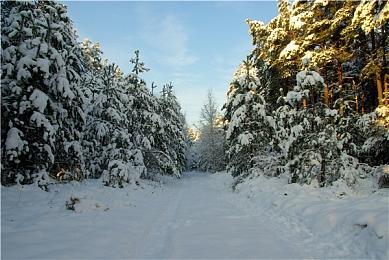 充满困难与挑战 《逐光之旅》制作人谈游戏开发进度